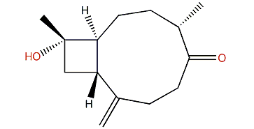 Nanorcaryophyllene B